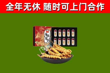 细河烟酒回收冬虫夏草礼盒.jpg